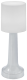 Беспроводной светильник Wiled WC450S (серебро)